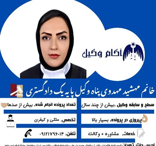 مهشید مهدوی پناه وکیل پایه یک دادگستری است.