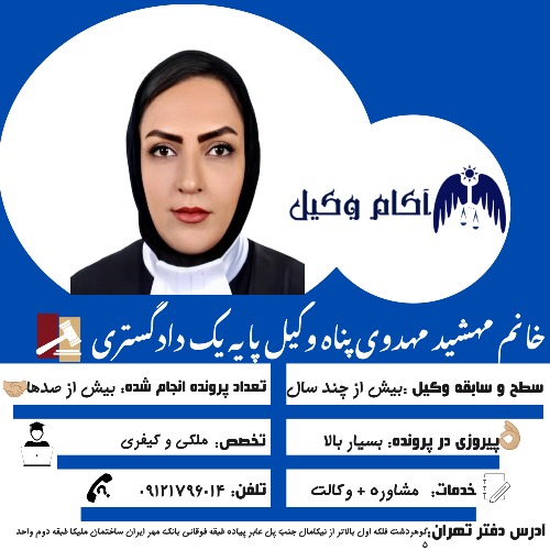 مهشید مهدوی پناه وکیل پایه یک دادگستری است.